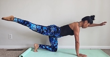 bird dog exercise